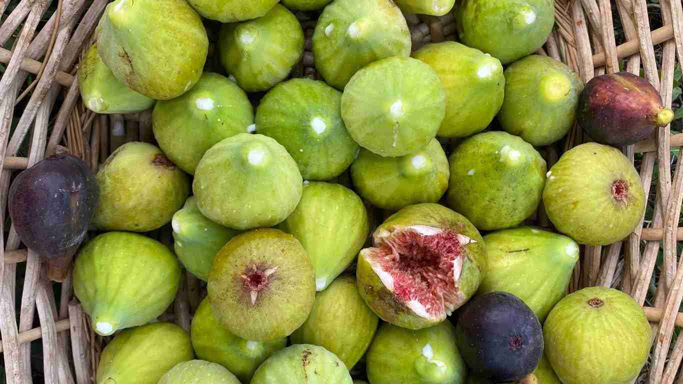 fichi-del-borgo